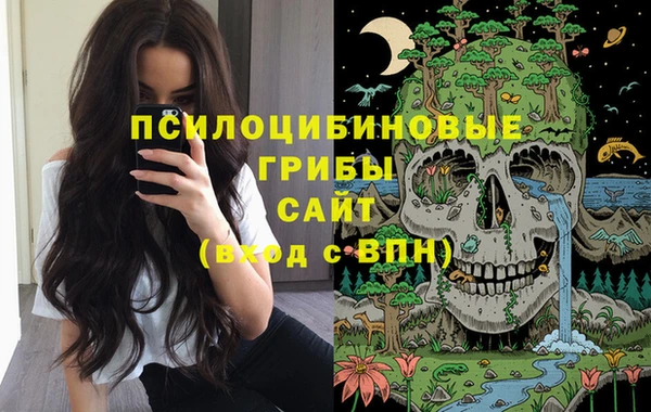героин Алексин