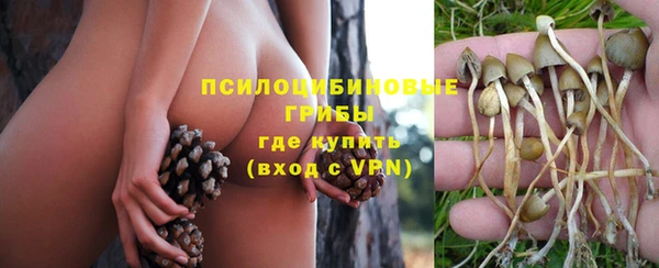 PSILOCYBIN Алексеевка