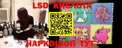 эйфоретик Новозыбков