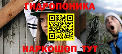 эйфоретик Новозыбков