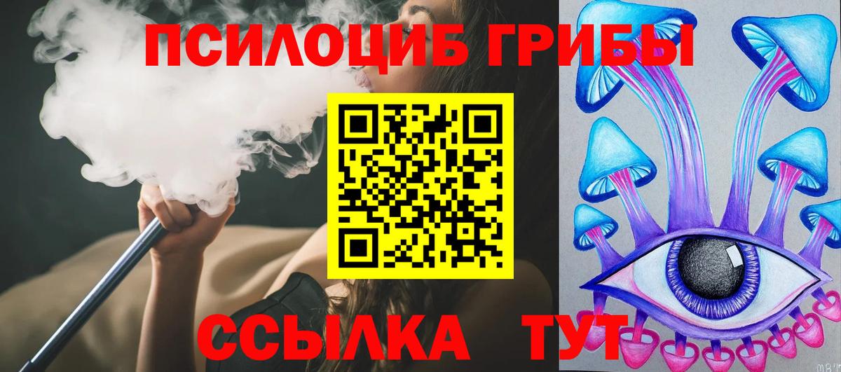 Галлюциногенные грибы Psilocybine cubensis Серов