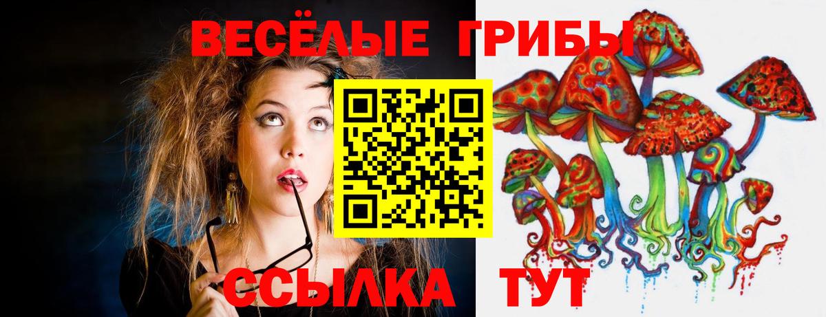 Псилоцибиновые грибы MAGIC MUSHROOMS  Вход с VPN  Серов 
